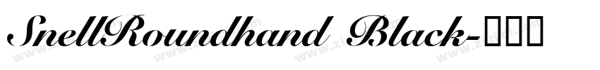SnellRoundhand Black字体转换